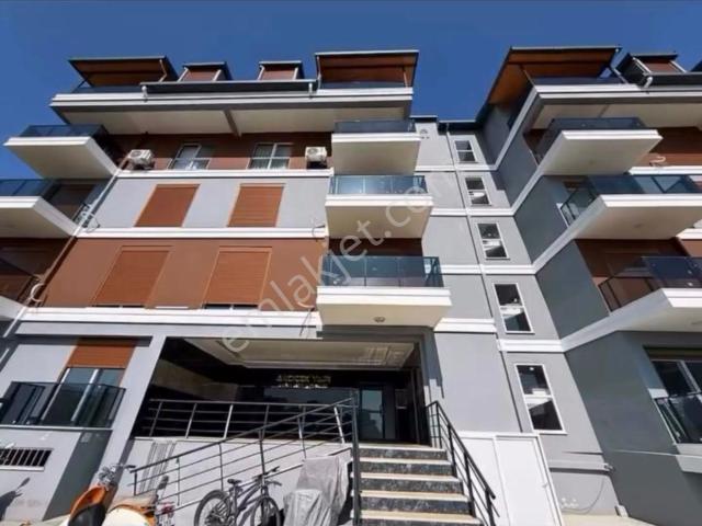 Pazarcıda Havuzlu Kiralık 1+1
