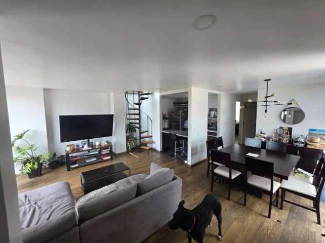 Pent house en renta colonia del valle amores 1157