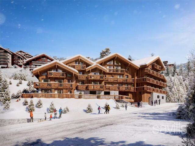 Penthouse 2 chambres avec double terrasse 63m² Les Allues Méribel