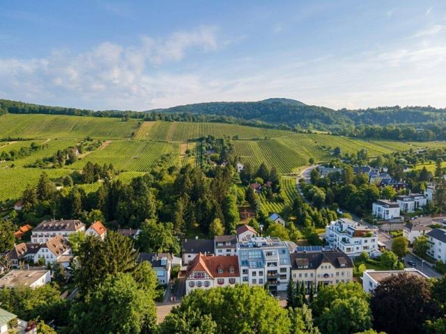Penthouse & 360° Panoramablick