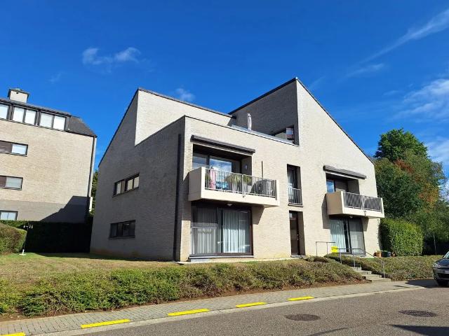 Penthouse aan de Beringse stadsrand