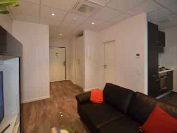 Penthouse Apartment modernly furnished fully equipped, Frankfurt Amsterdam Apartments for Rent
