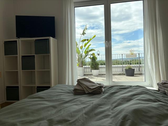 Penthouse Apartment by the Lahn River – Large Roof Terrace & Underground Parking
