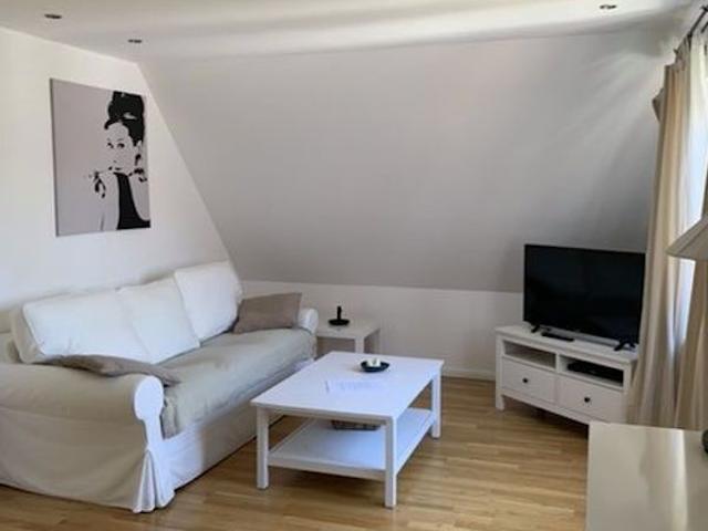Penthouse apartment in the most beautiful district of Wolfsburg I incl. WiFi, Wolfsburg Amsterdam Apartments for Rent
