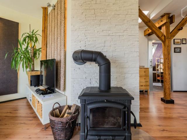 Penthouse apartment with style and a nice view, Berlin Amsterdam Apartments for Rent