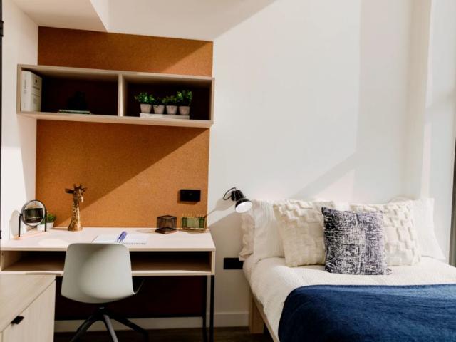 Penthouse Apartment