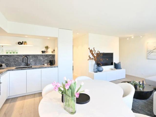 Penthouse appartement vlakbij de zeedijk met zonneterrassen