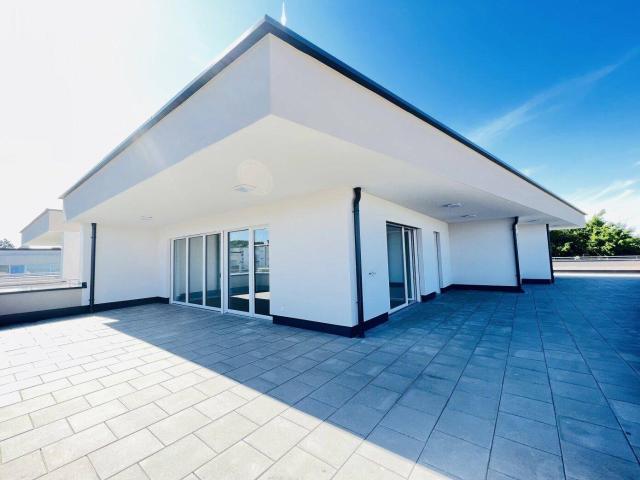 Penthouse – Großzügigkeit trifft Terrassenkultur