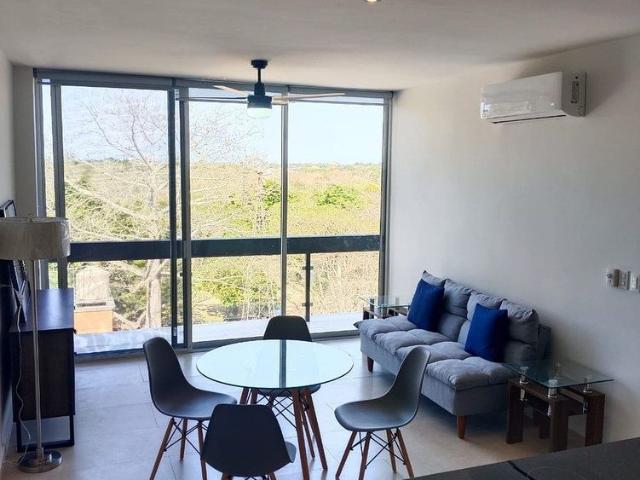 PENTHOUSE EN RENTA / MONNE