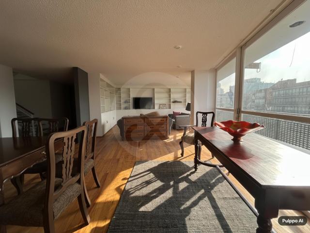 Penthouse en renta Polanco V Secci?n