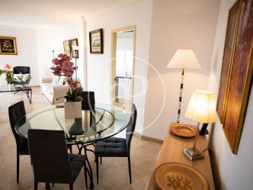 Penthouse for seasonal rent in Paseo Maritimo