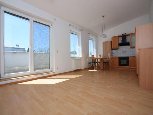 PENTHOUSE, hell, 2 Zimmer + 2 Terrassen u. Autoabstellplatz, S BAHN, ca. 34 Minuten zum Praterstern. hohe Räume bis 3,40m!