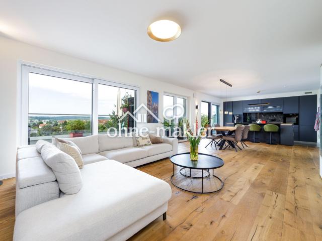 Penthouse in Perl