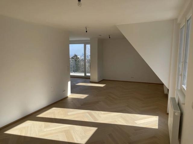 PENTHOUSE LIVING OHNE LIFT ATEMBERAUBENDER WIENBLICK DREI RIESEN TERRASSEN!