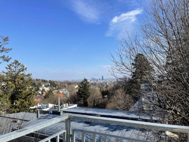 PENTHOUSE LIVING FIXPREIS ATEMBERAUBENDER WIENBLICK 3 RIESEN TERRASSEN ERSTBEZUG!