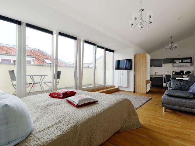 Penthouse Studio Loft with Terrace in Mitte, Berlin Amsterdam Apartments for Rent