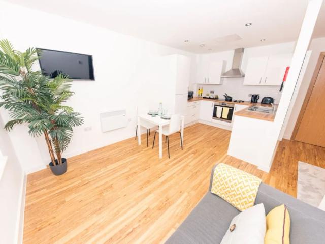 Penthouse studio to let