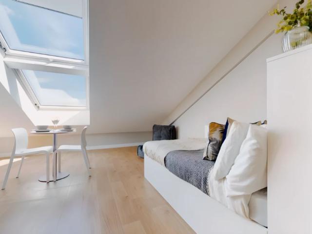Penthouse Studio