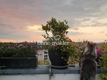 Britanniahütte, Rheinisch-Bergischer, Bergisches Land, Nordrhein-Westfalen