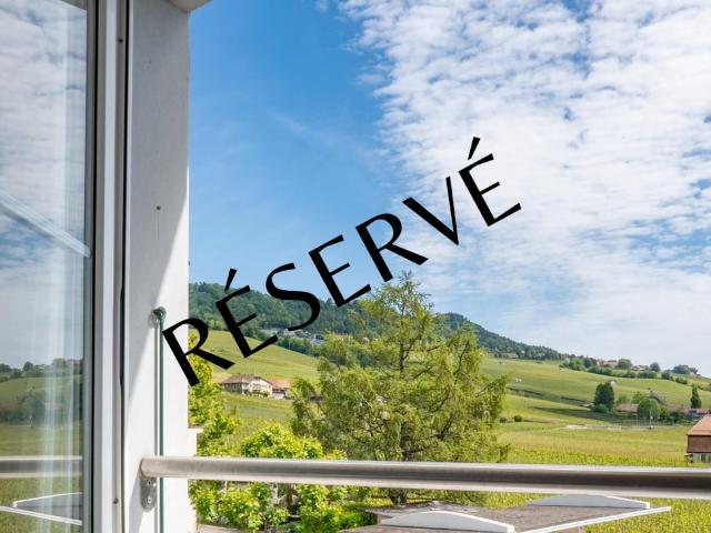 Penthouse Wohnung mit Blick auf See und Weinberg
