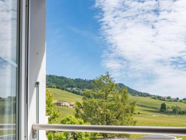 Penthouse Wohnung mit See und Weinbergblick