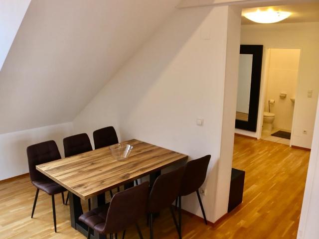 Penthouse with big terrace and privat SAUNA, Vienna Amsterdam Apartments for Rent