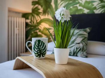 PENTHOUSE TORTONA