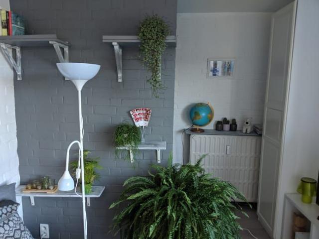 Penthouse te huur