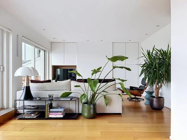 Penthouse te huur