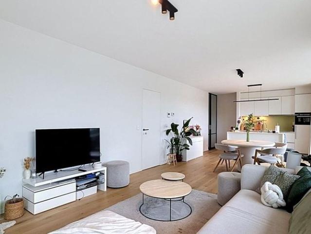 Penthouse te huur in Roeselare voor € 975 met 2 slaapkamers