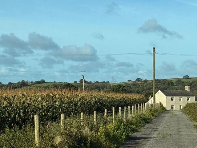 Pen Y Fai Lane, Furnace, Llanelli SA15, 3 bed property to rent, £1,400 pcm | PrimeLocation