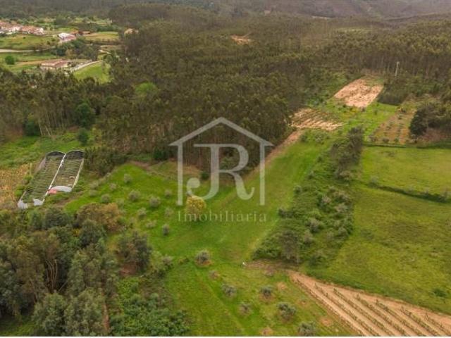 Penacova Penacova LS101741746