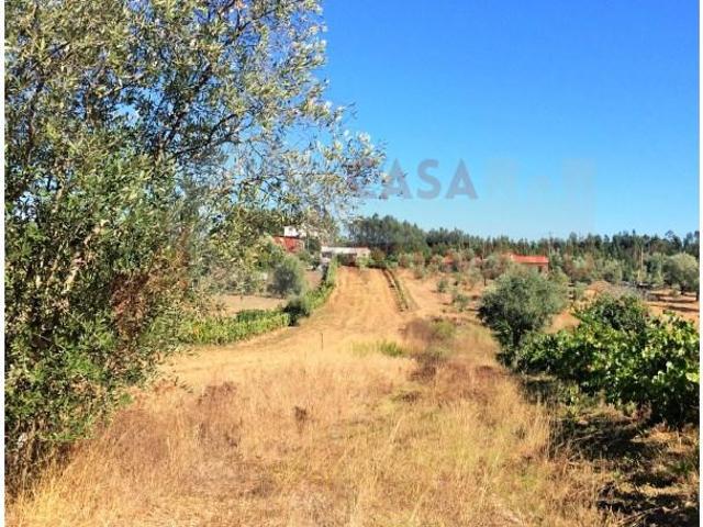Penacova Penacova LS105542477