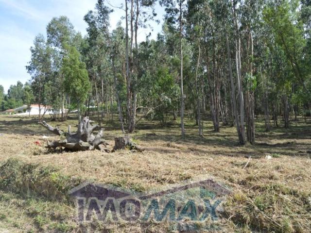 Penafiel Penafiel 4560 112 104456095
