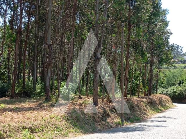Penafiel Penafiel 105634288