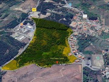 Penafiel Porto LS96891300