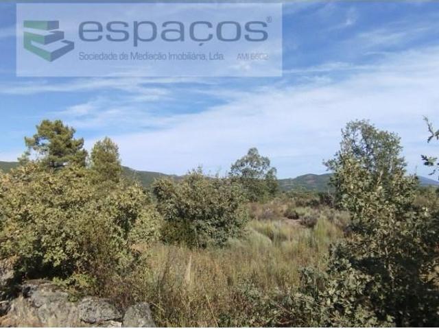 Penamacor Penamacor 95147986