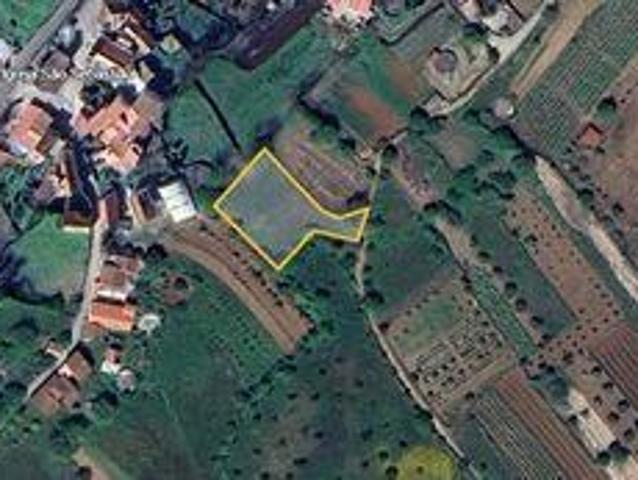 Penela Coimbra 96325499