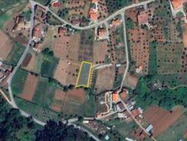 Penela Coimbra LS105273602