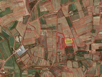 Peniche Leiria 94041180