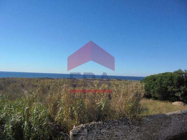 Peniche Peniche 105376893