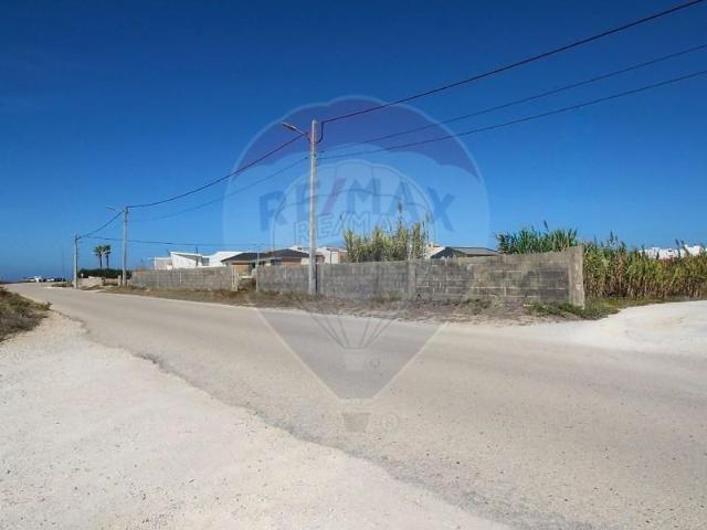 Peniche Peniche 105608984