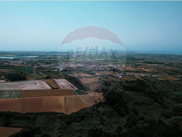 Peniche Peniche 105608983