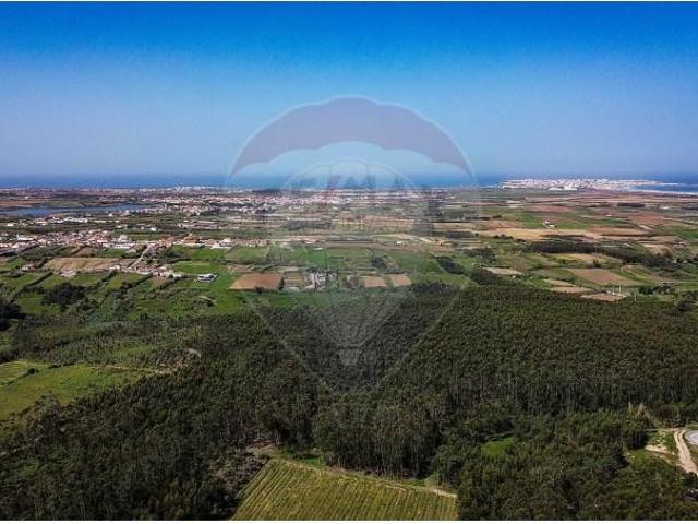 Peniche Peniche 101225591
