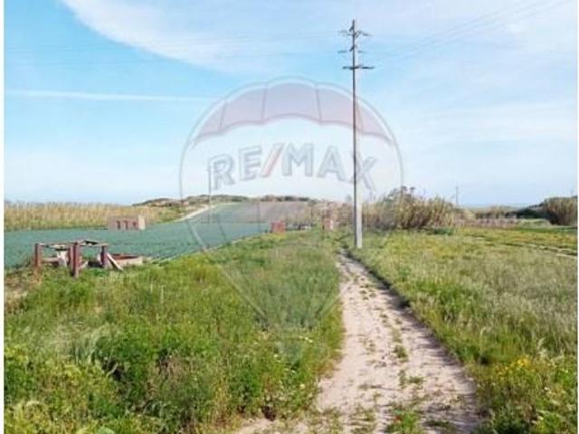 Peniche Peniche 102066844
