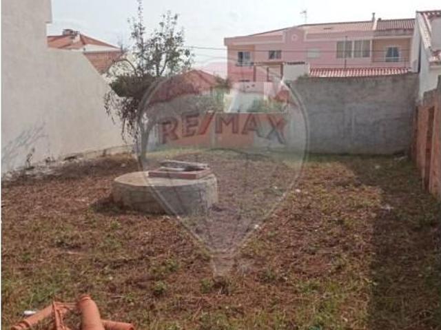 Peniche Peniche 102066863