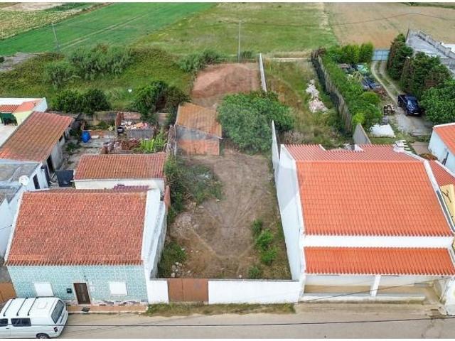 Peniche Peniche 103572613