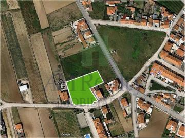Peniche Peniche 96347974