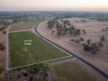 Land to rent in South Australia - Cellar
