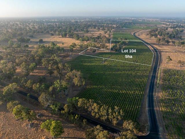 Land Penola SA 101909272